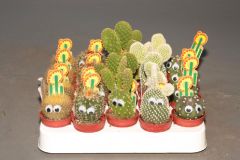 Кактус с глазами (Cactus)